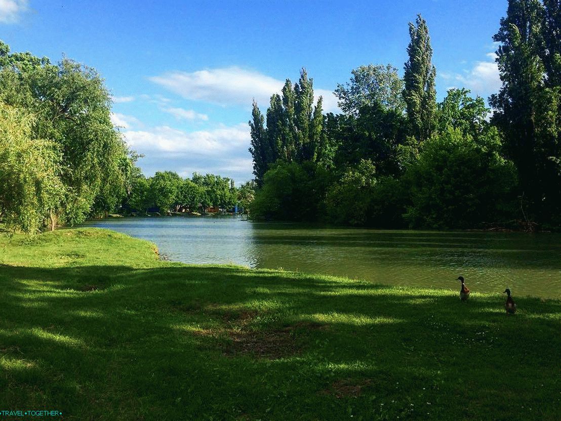 Park Sunny Island. Fotografija - @tanya_kaliturina