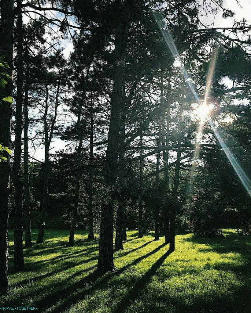 Arboretum u Krasnodaru. Fotografija - @kristinamarinkina