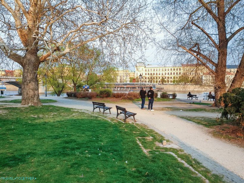 Labudovi u Pragu i gdje ih hraniti