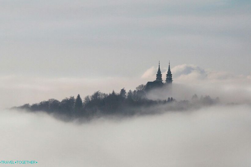 Linz u magli