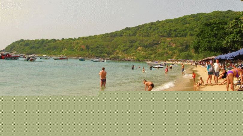 Plaža majmuna na Koh Lan