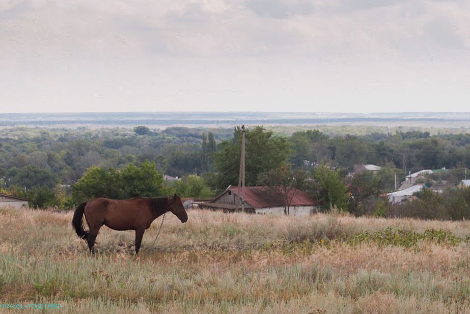 Village Migulinskaya