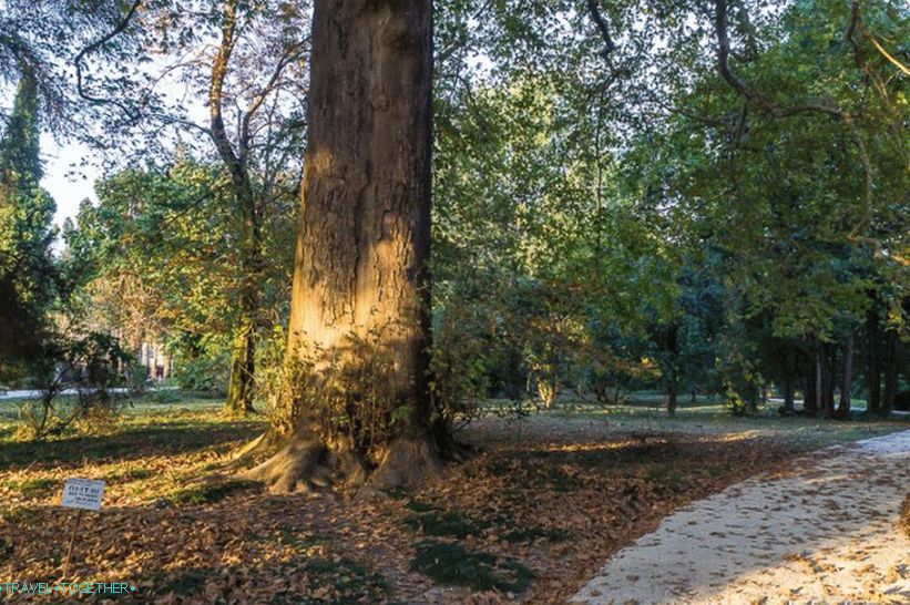 Južni park kulture u Sočiju