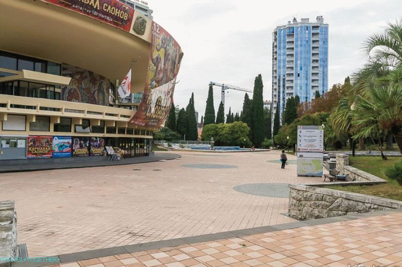 Sochi Circus