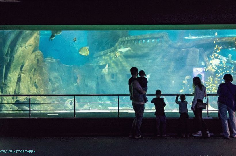 Oceanarium u Adleru