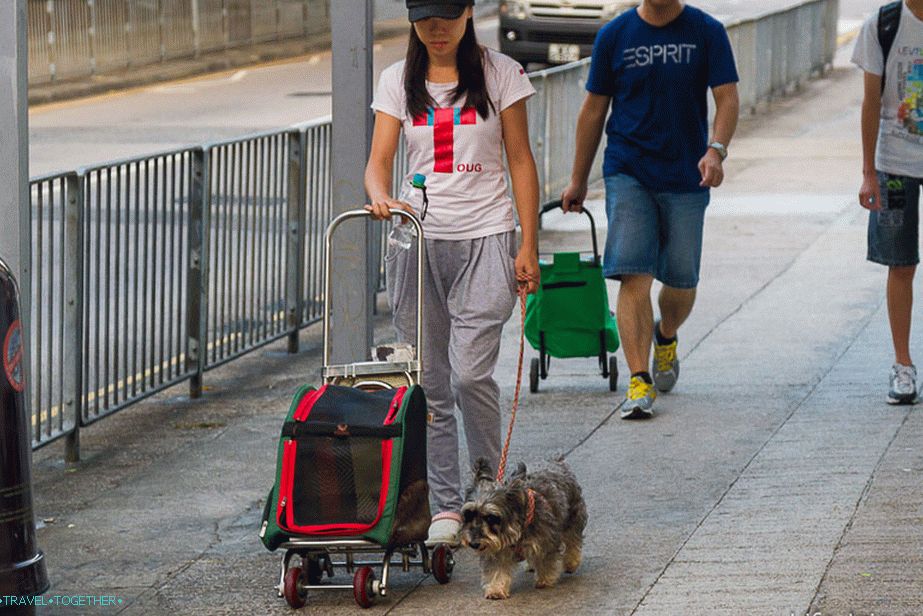 Plaža Silver Strand u Hong Kongu (24)