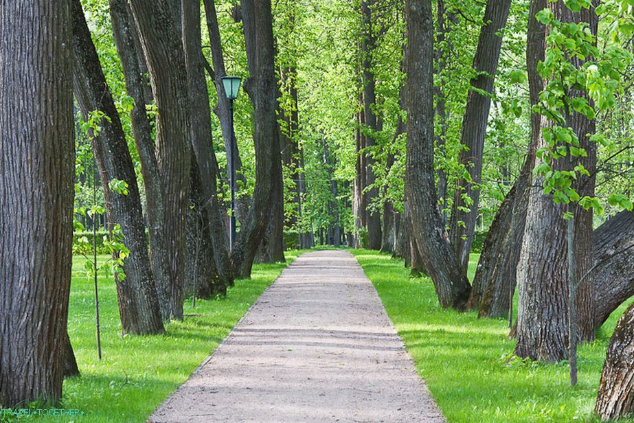 Sjenovite ulice na imanju Ostafievo
