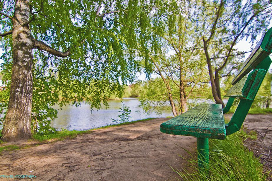 Kupujte s pogledom