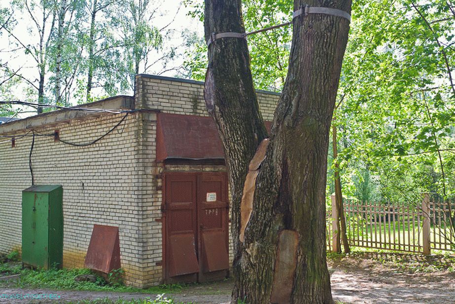 Drveće čuva metalne veze