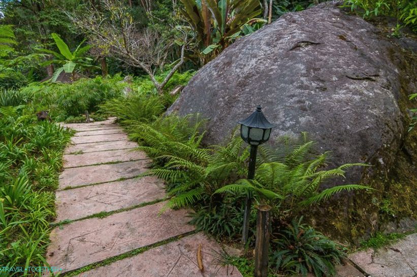 Nacionalni park Doi Inthanon (19)