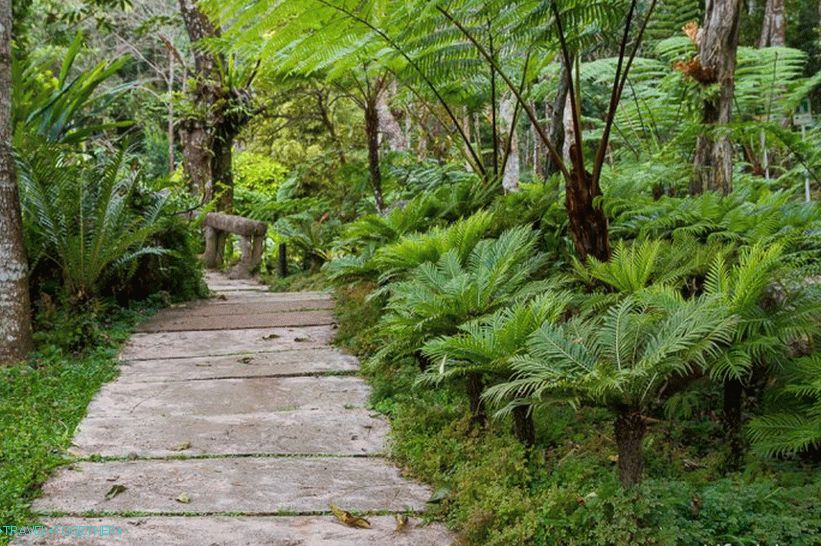 Nacionalni park Doi Inthanon (20)