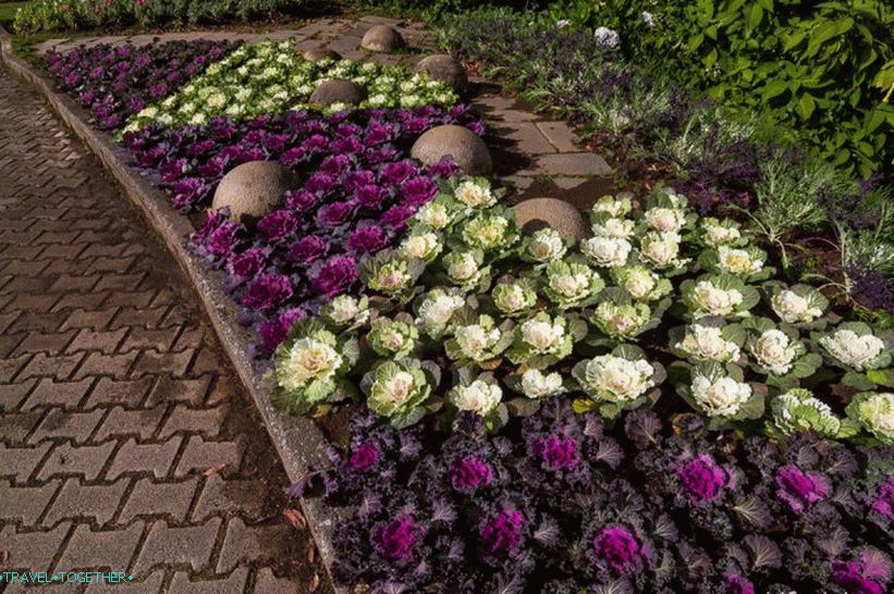 Nacionalni park Doi Inthanon (30)