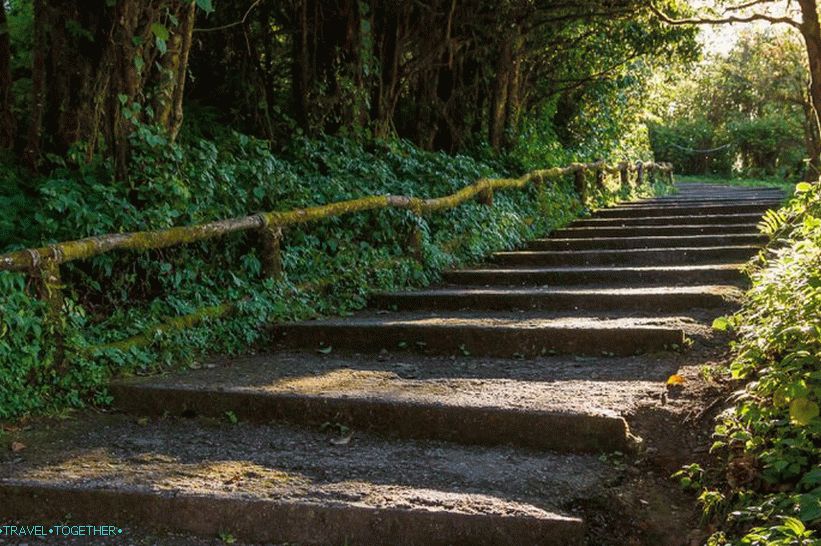 Nacionalni park Doi Inthanon (39)