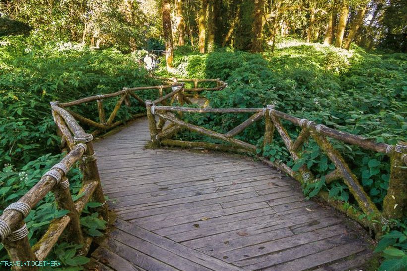 Nacionalni park Doi Inthanon (43)