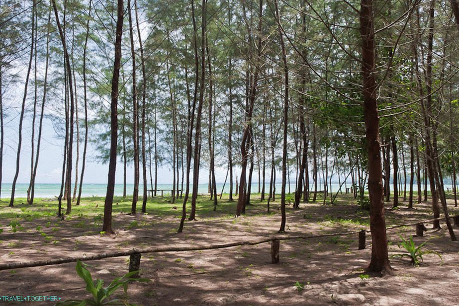 Na plaži punog mora
