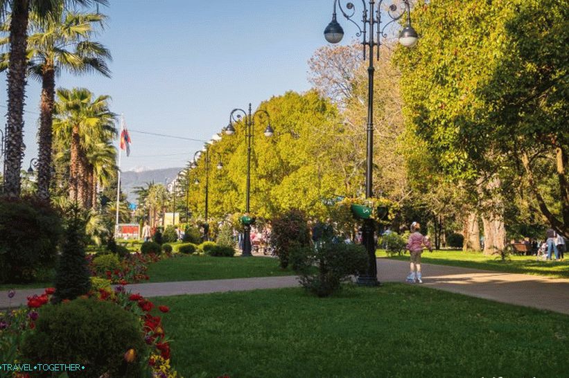 Navaginskaya ulica u Sočiju - prirodni lokalni Arbat