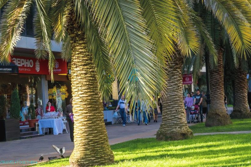 Navaginskaya ulica u Sočiju - prirodni lokalni Arbat