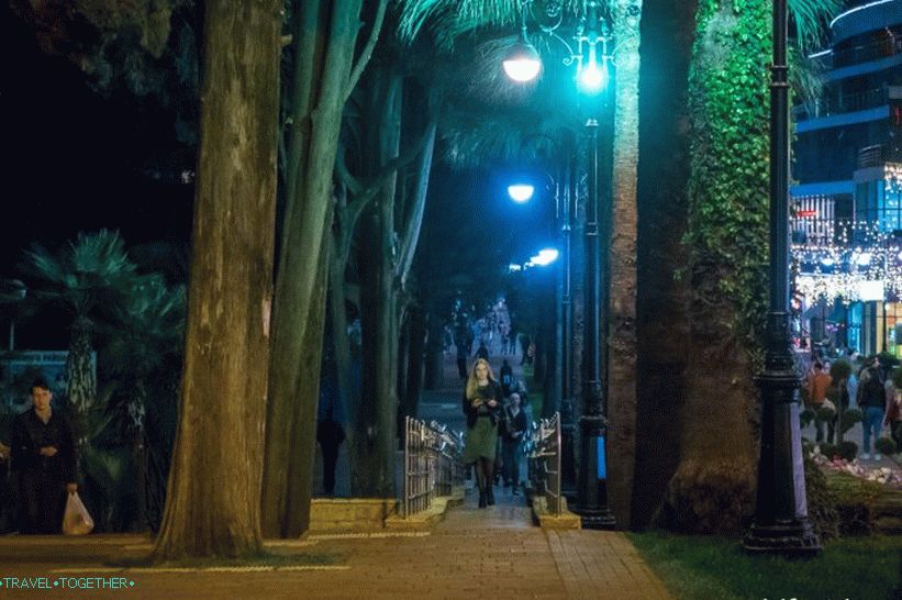 Navaginskaya ulica u Sočiju - prirodni lokalni Arbat