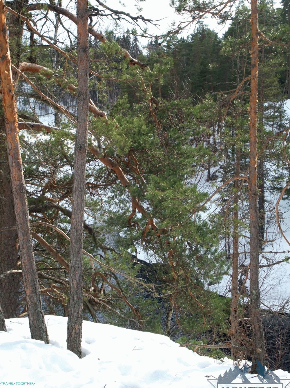 Park Reypovesi