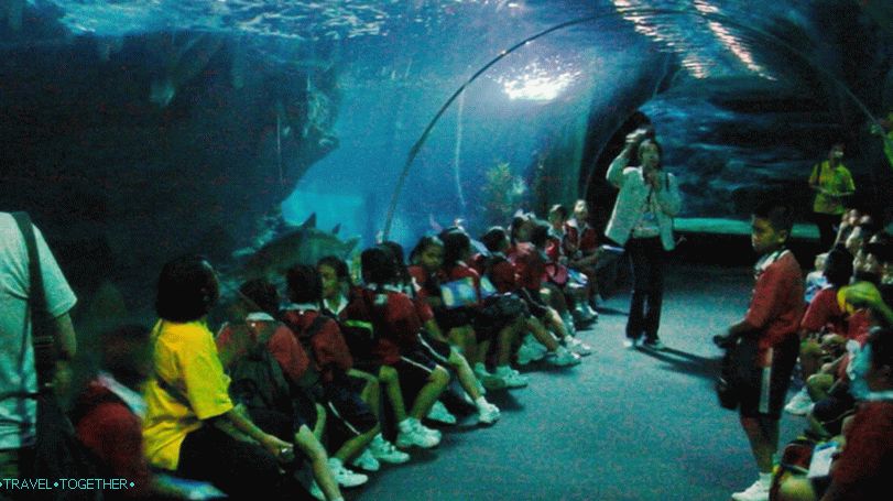 Oceanarium u Bangkoku