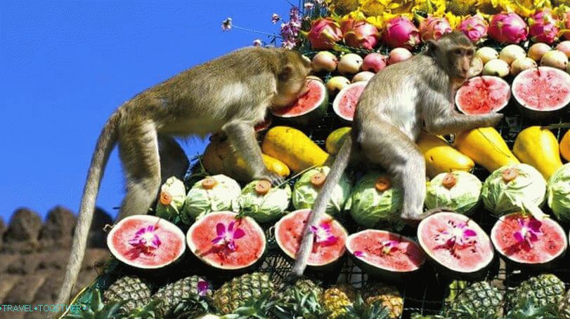 Monkey Banquet in Thailand