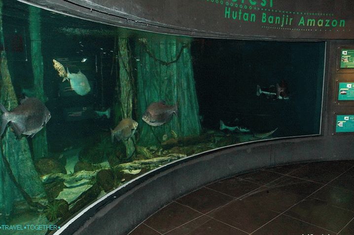 Jedan od velikih akvarija Oceanarija