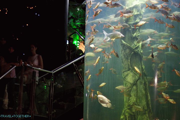 Ulaz na donji kat Oceanarija Kuala Lumpura