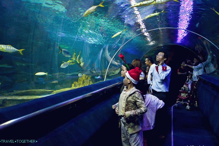Tunel u Oceanarijumu Kuala Lumpura