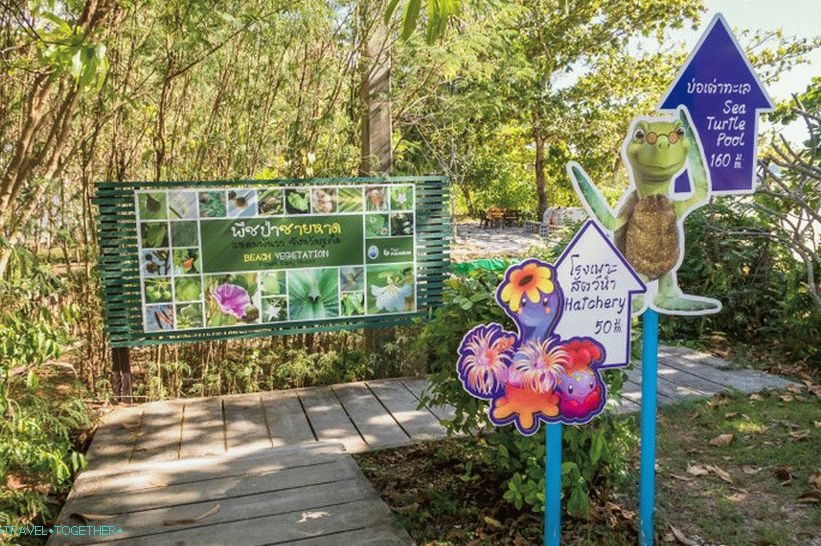 Ocean Phuket - koji je prilično dosadan akvarij