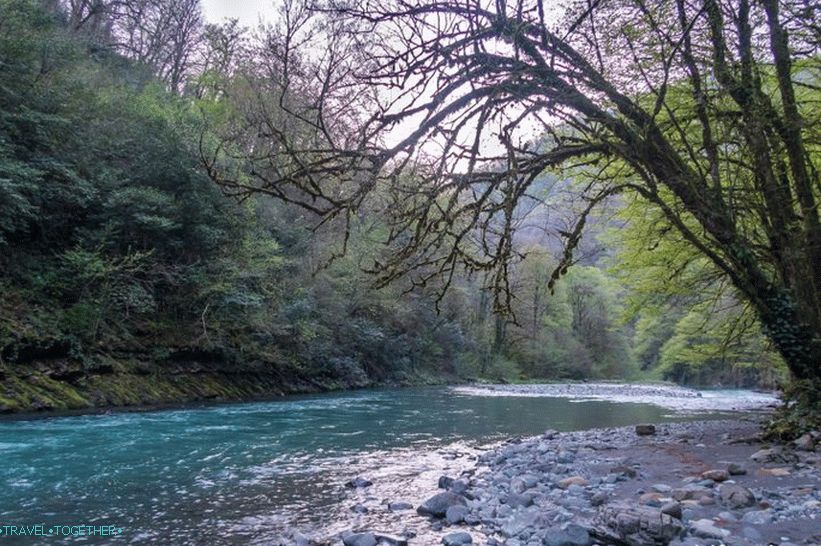 Orekhovsky vodopad u Sočiju - piknik u prirodi