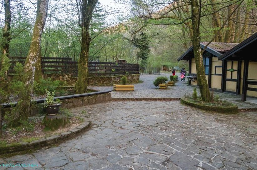Orekhovsky vodopad u Sočiju - piknik u prirodi