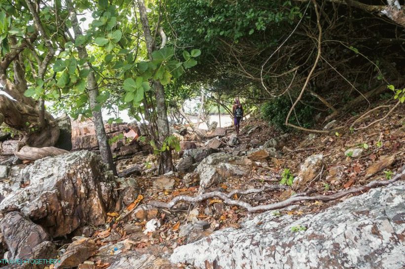 Otok Bambu u blizini Phi Phi - uključen u sve ture