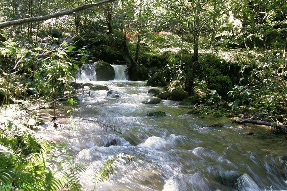 Bolje je cijeli dan posjetiti park Mtirala