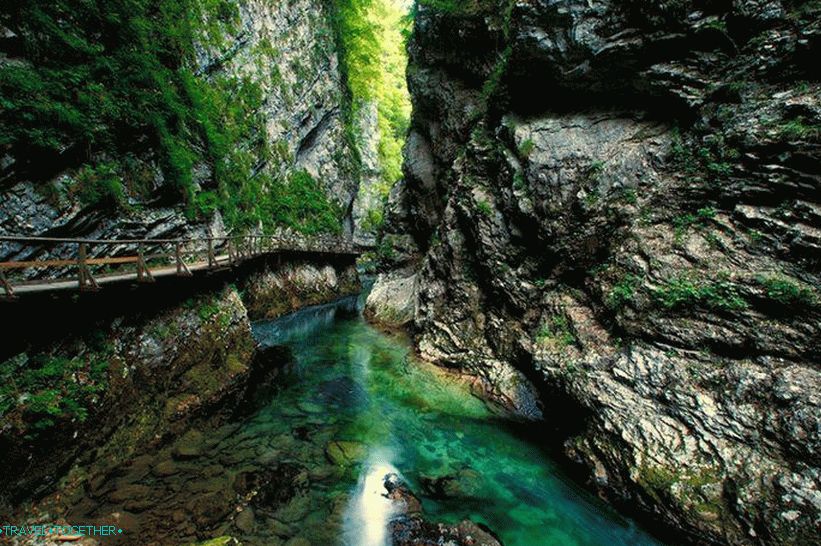 Kanjon Vintgar (Vintgar)