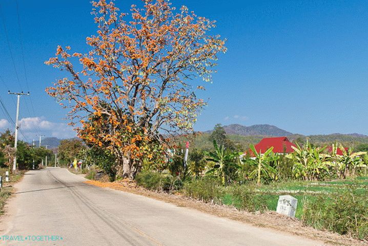 Putevi do Pai