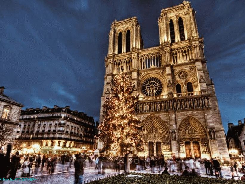 Notre Dame de Paris na otoku Cite