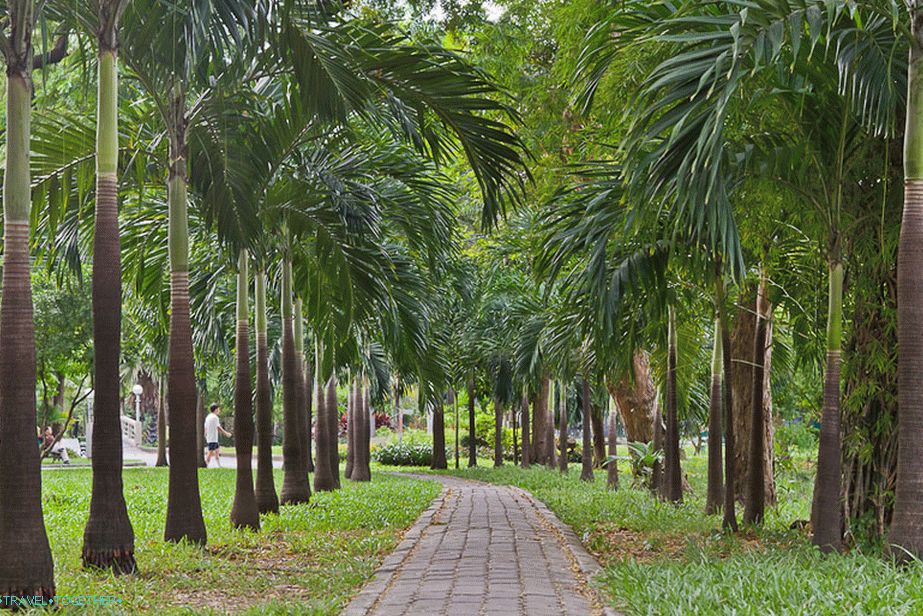 Palm Alley u parku Lumpini