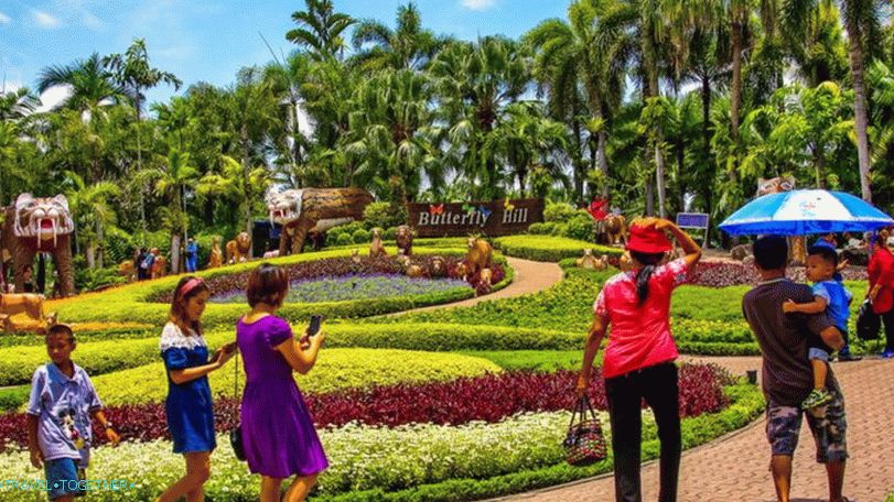 Vrt leptira u parku Nong Nooch