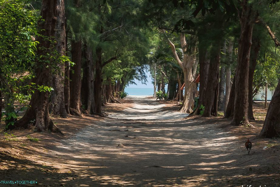 Vrati se na plažu na isti način.