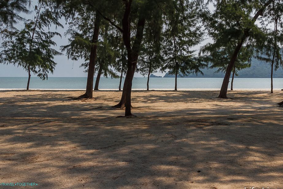 Plaža u zagrljaju azurne šume