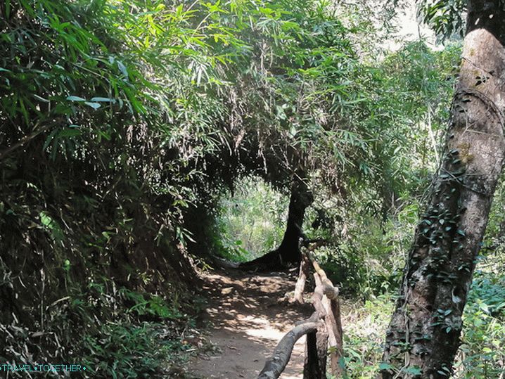 Putovi u parku Doi Suthep