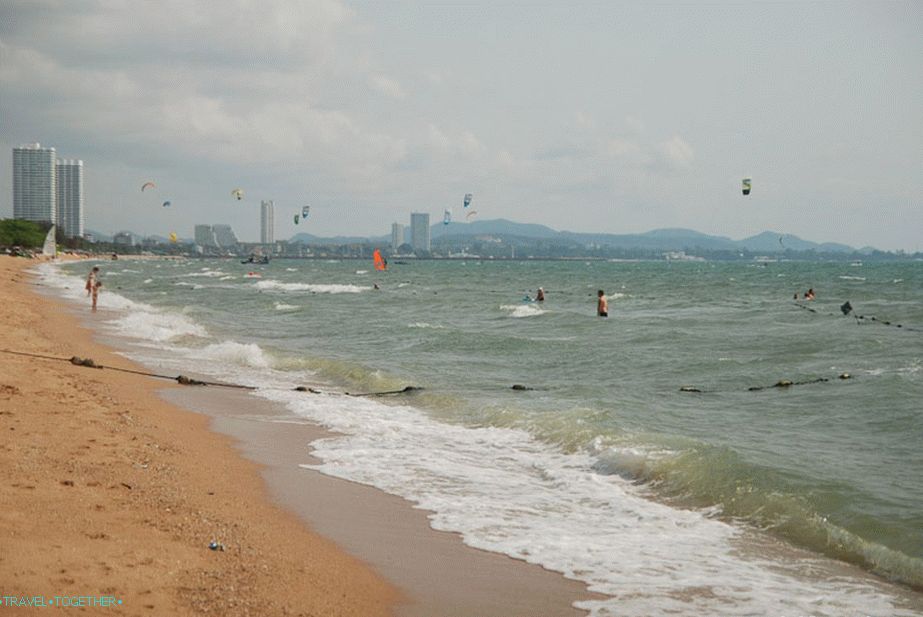 Mačići na pozadini marine