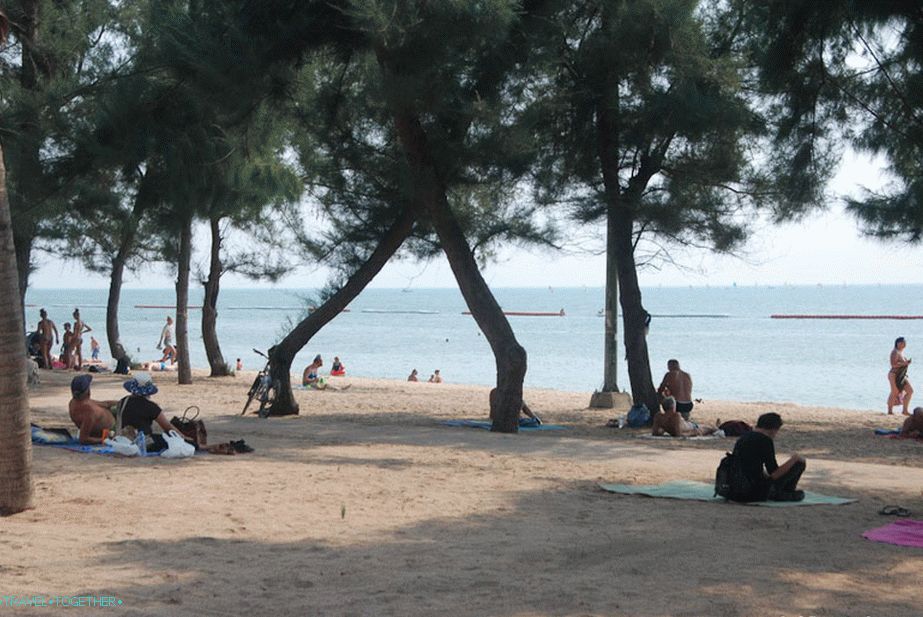 Odjeljak za plažu s kasuarinima i bez redova ležaljki