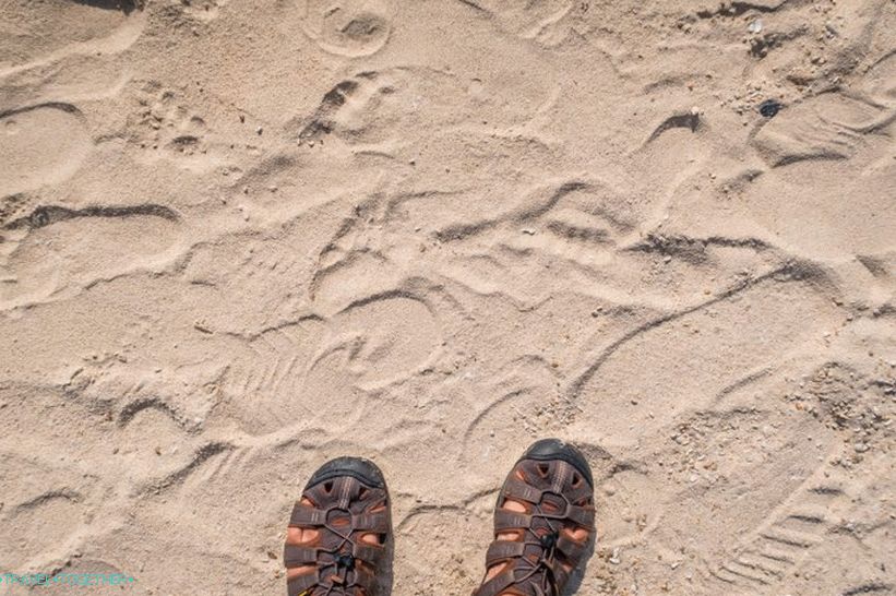 Plaža Leela je hipi raj na Phanganu