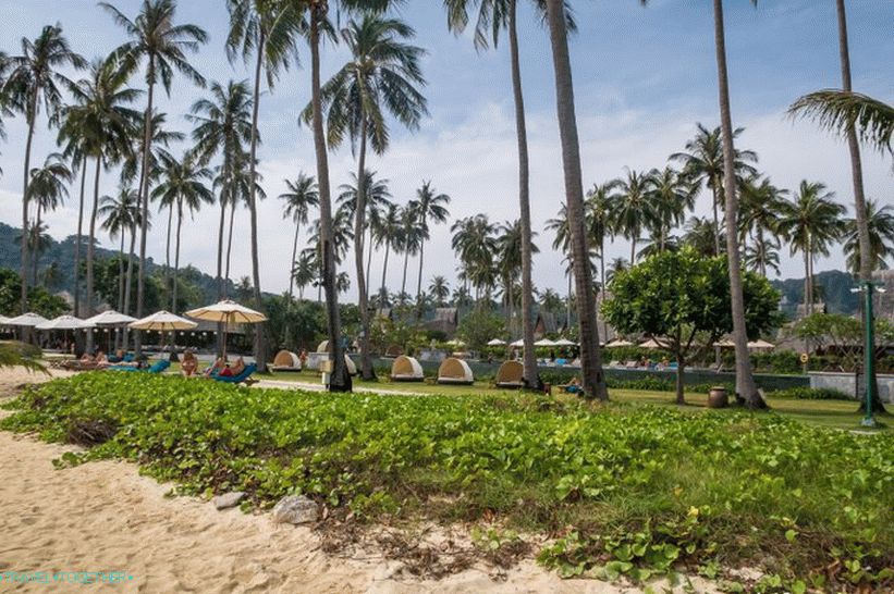 Plaža Lo Ba Kao je najbolji izbor za dugi odmor na Phi Phi Don Islandu