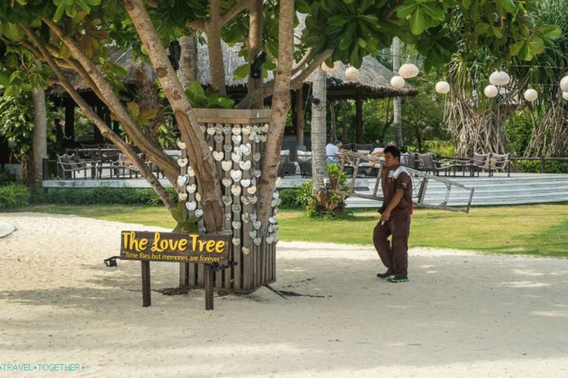 Plaža Lo Ba Kao je najbolji izbor za dugi odmor na Phi Phi Don Islandu