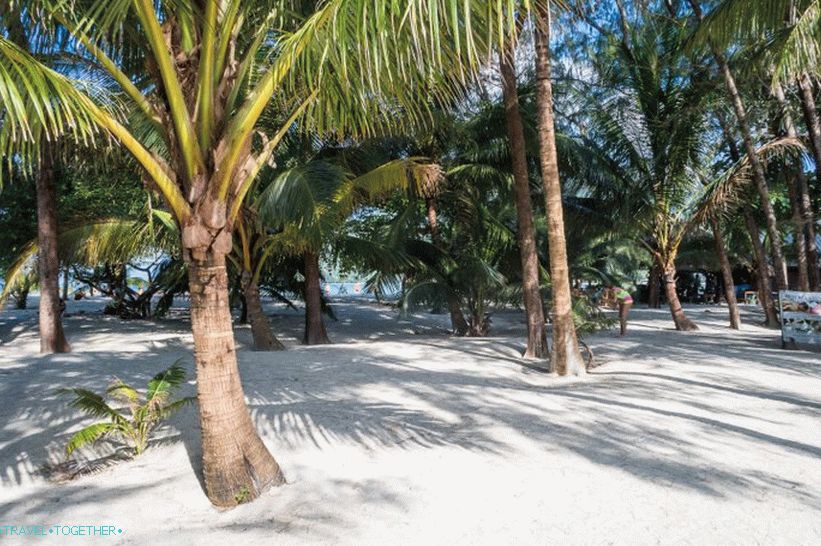 Plaža Malibu na Phanganu je palma s bijelim pijeskom