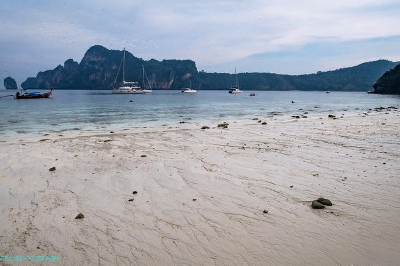 Plaža s plažama majmuna - Raj majmuna na Phi Phi Donu