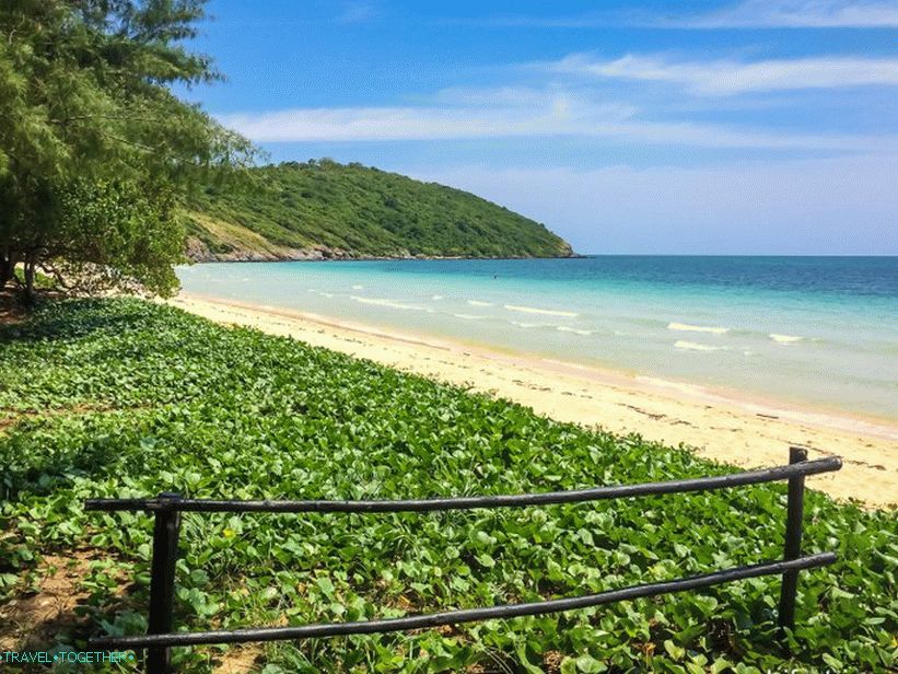 Daleko, divlji rub plaže