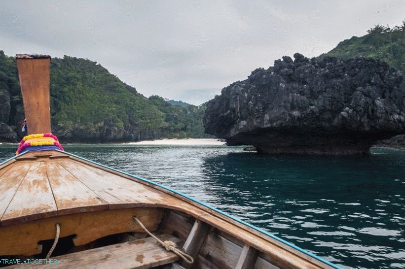 Plaža Nui na Phi Phi Donu - divlja svinja u džungli